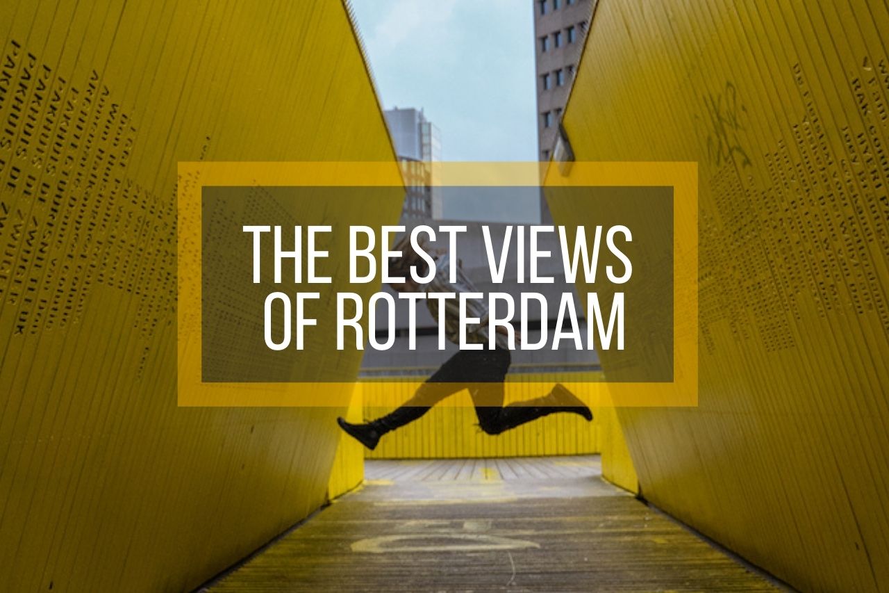 The Best Views of Rotterdam