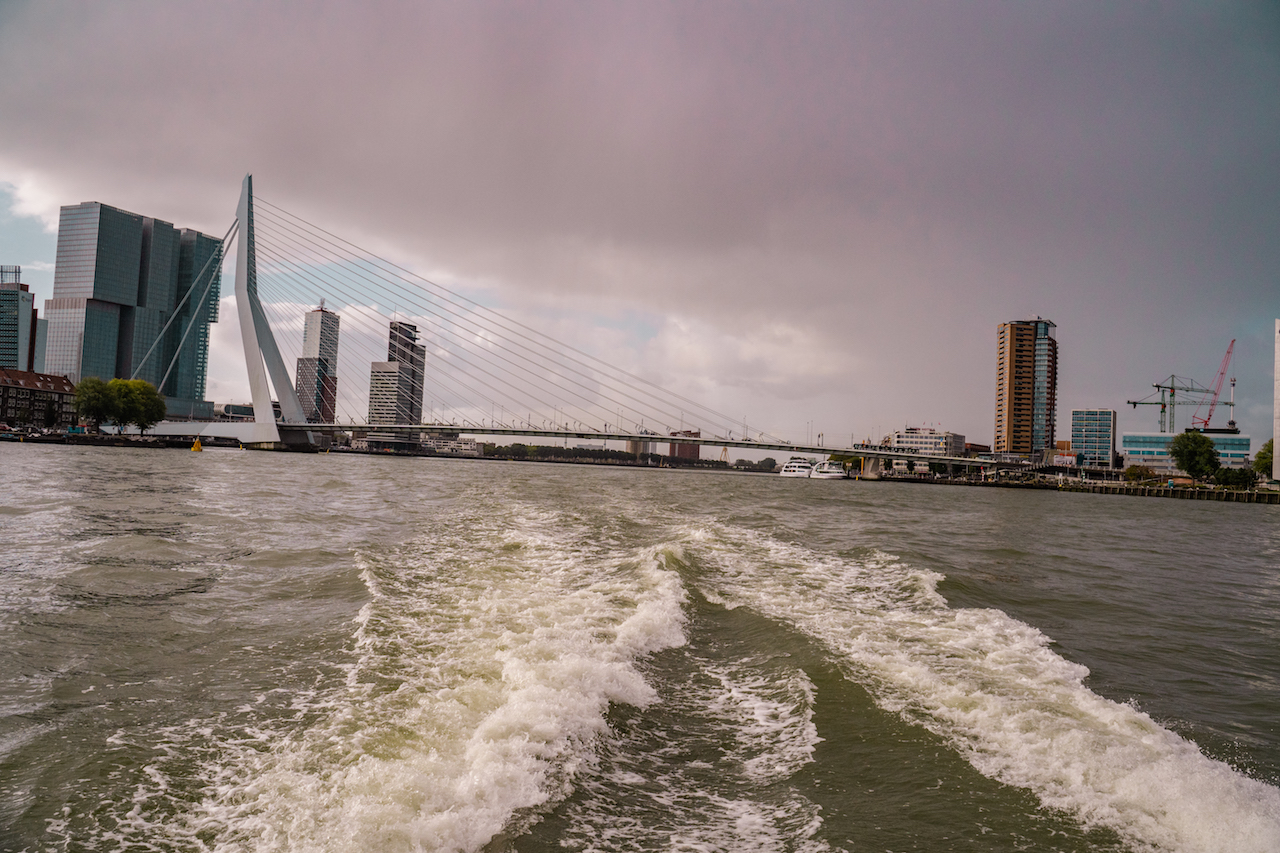 Erasmus Bridge. The Best Views of Rotterdam