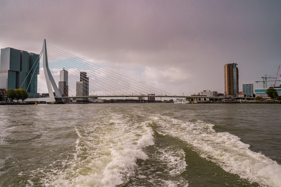 Non-Touristy Things in Rotterdam