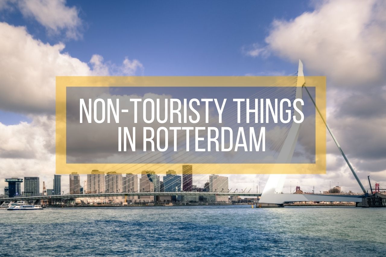 Non-Touristy Things in Rotterdam